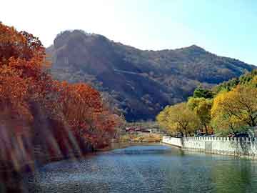 新澳天天开奖资料大全旅游团，抽奖箱价格